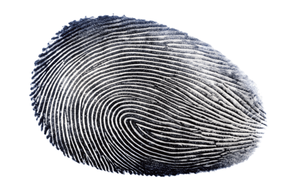 Download Close Up of a Fingerprint Isolated PNG - Isolated Collection