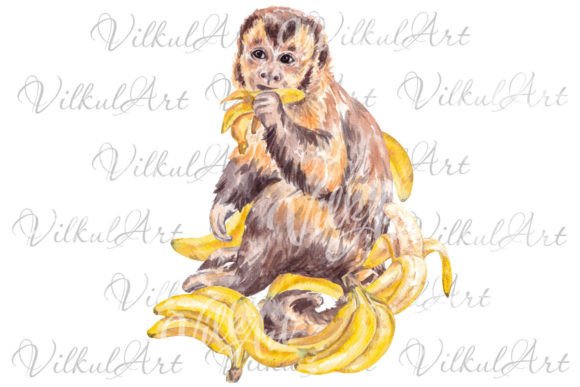 Download Cute Animal Png Monkey Watercolor - Animal png Collection