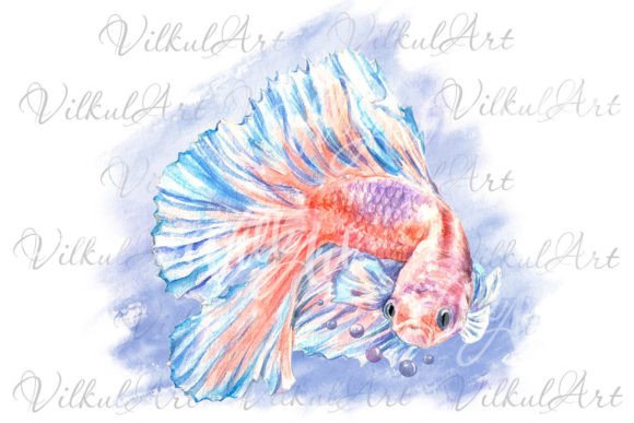 Download Cute Animal Png Watercolor Clipart Fish - Animal png Collection
