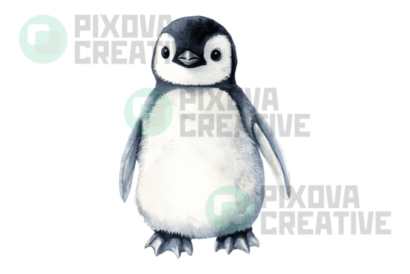 Download Chubby Baby Penguin Graphic PNG - Premium Resources